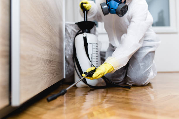 Best Commercial Pest Control Services  in West Puente Valley, CA