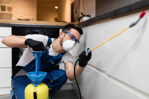 Best Termite Control Services  in West Puente Valley, CA