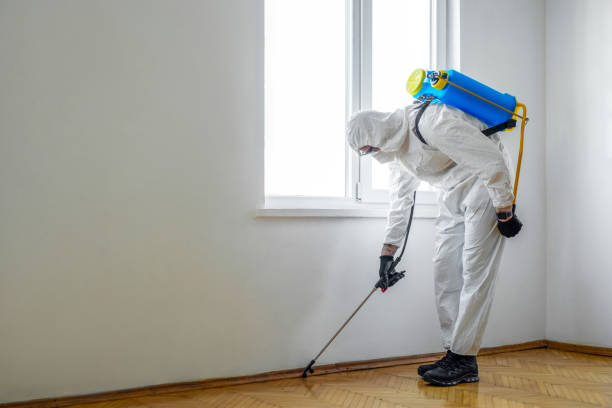 Best Pest Control Near Me  in West Puente Valley, CA