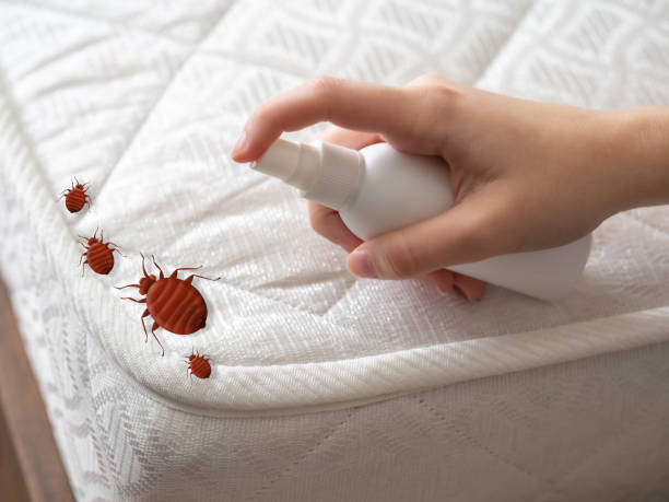 Reliable West Puente Valley, CA Pest Control Solutions